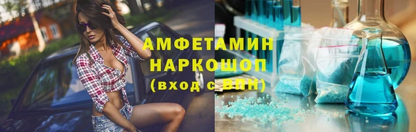 шишки Михайловск