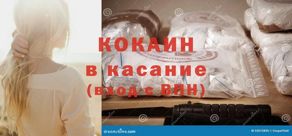 шишки Михайловск