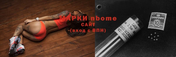 шишки Михайловск