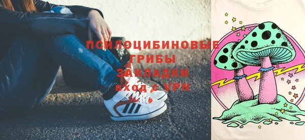 шишки Михайловск