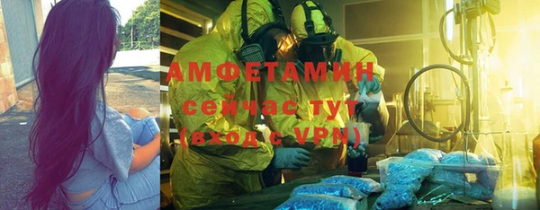 шишки Михайловск