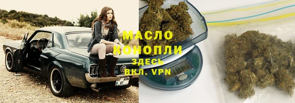 шишки Михайловск