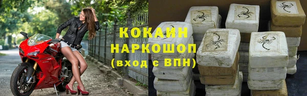 шишки Михайловск