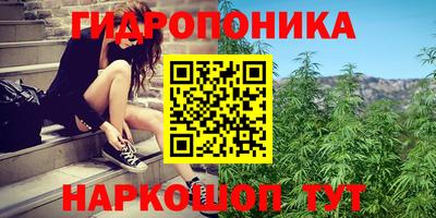 амф Волгодонск
