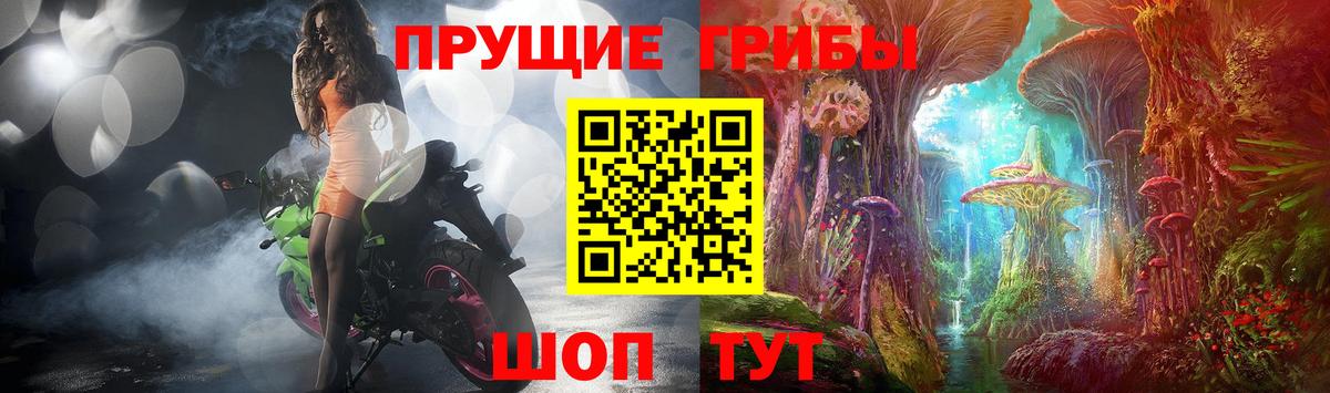 Псилоцибиновые грибы Psilocybine cubensis  Вход с VPN  Донецк 